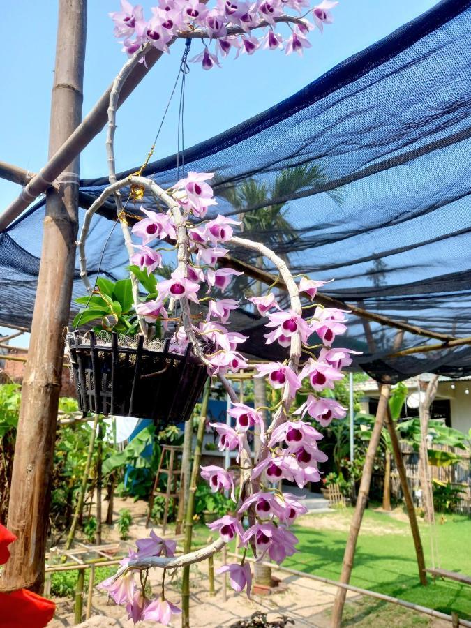 Ngoc An Bang Villa Dış mekan fotoğraf